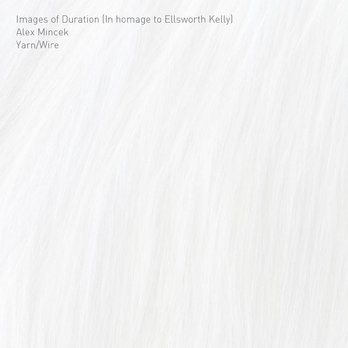 Yarn/Wire - Images of Duration (In homage to Ellsworth Kelly) (CD) | Mint Mint-Classic Vinyl Record