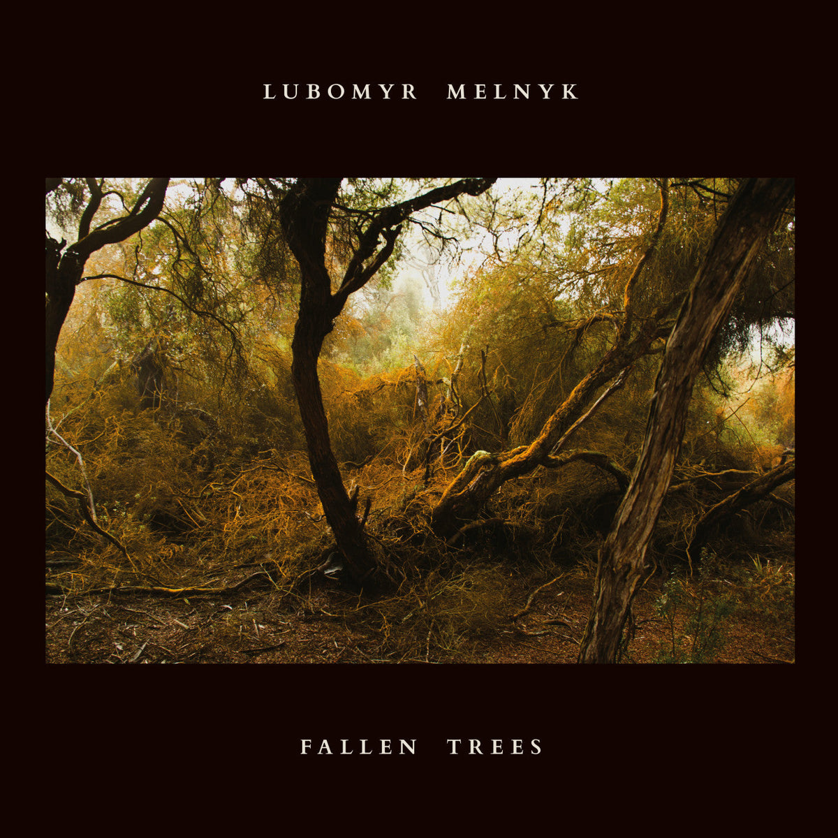 Melnyk, Lubomyr - Fallen Trees (CD) |-Classic Vinyl Record