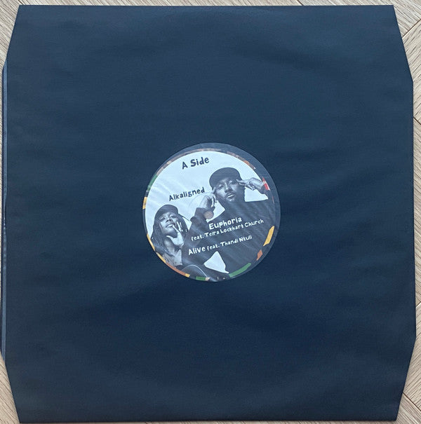 Damani Nkosi & Ill Camille - Harriett (2x VINYL) | Mint (M) Mint (M)-Classic Vinyl Record