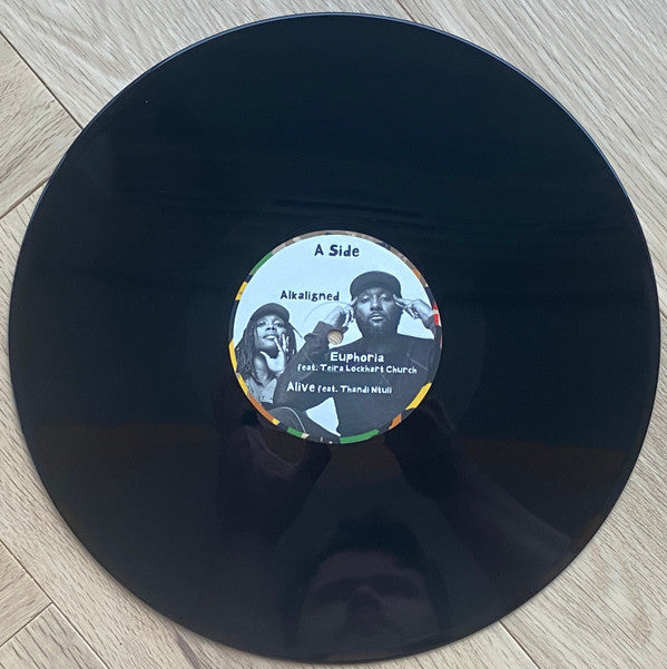 Damani Nkosi & Ill Camille - Harriett (2x VINYL) | Mint (M) Mint (M)-Classic Vinyl Record