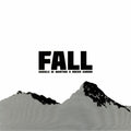 Fall | Mint (M) Mint (M)--Classic Vinyl Record