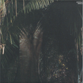 Acid Pauli - Urwald (VINYL) | Mint (M) Mint (M)-Classic Vinyl Record