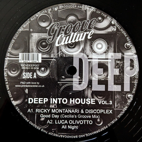 Various - Deep Into House Vol. 3 (VINYL 12") | Mint (M) Mint (M)-Classic Vinyl Record