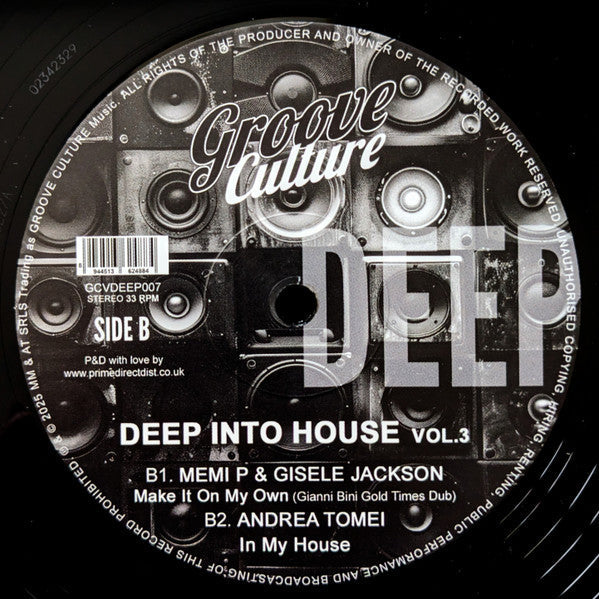 Various - Deep Into House Vol. 3 (VINYL 12") | Mint (M) Mint (M)-Classic Vinyl Record