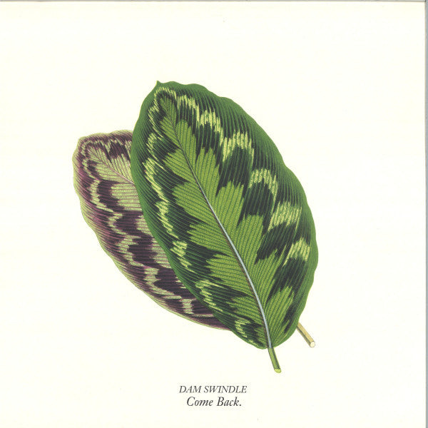 Dam Swindle - Come Back (GREEN VINYL 12" Aus Music AUS200B 2024) | NEW-Classic Vinyl Record