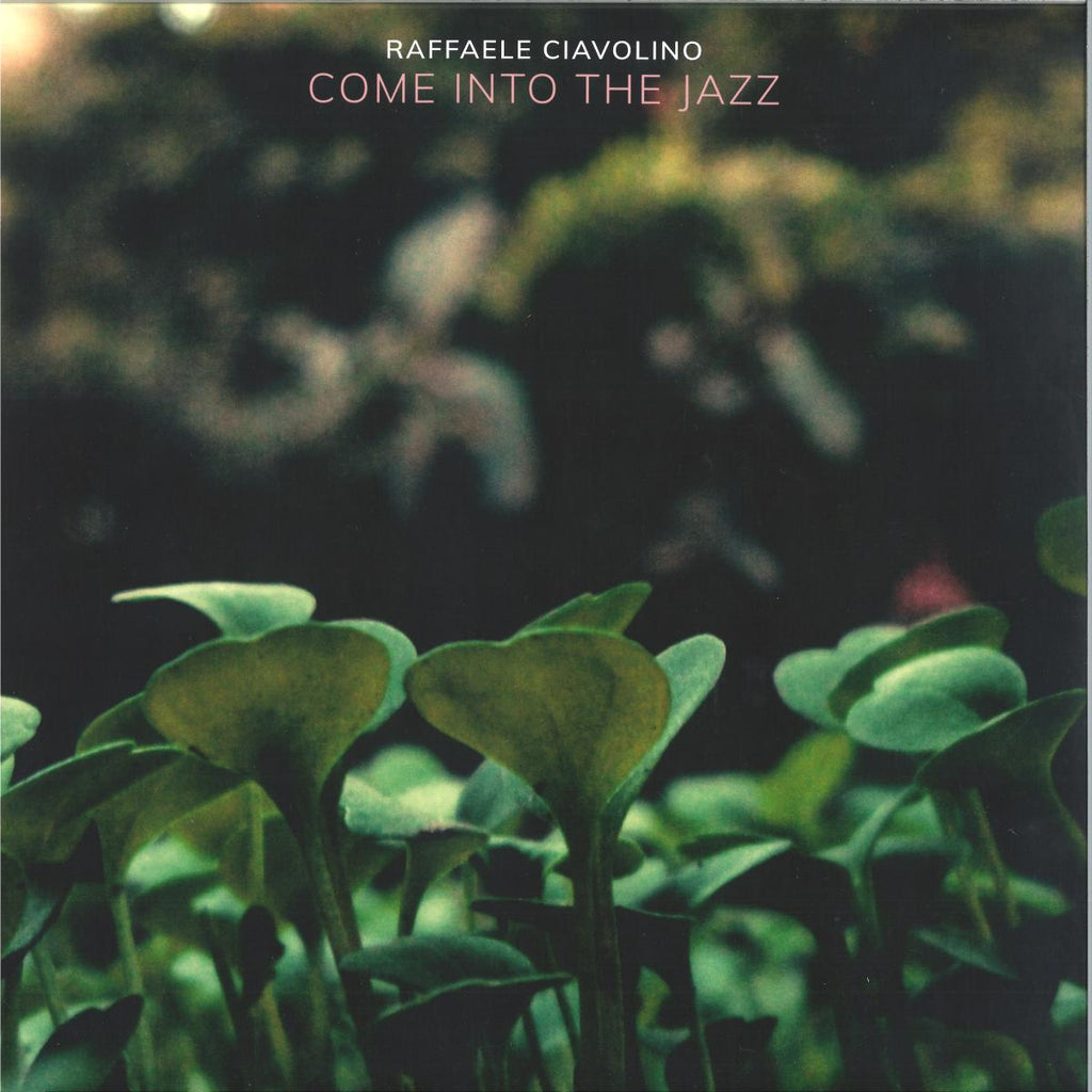 Raffaele Ciavolino - Come Into The Jazz (VINYL 2xLP GROOVE CULTURE GCVDEEP009 2026) *DINGED* | NEW Mint (M) Excellent+ (EX+)-Classic Vinyl Record