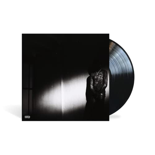 Destroy Lonely - NO STYLIST (VINYL LP Opium/Interscope B0036789-01) | NEW-Classic Vinyl Record
