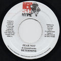 Determine - Fear Not | Near Mint (NM) Generic-Classic Vinyl Record