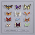 Dominik Eulberg - Lepidoptera (2x VINYL) | Mint (M) Mint (M)--Classic Vinyl Record