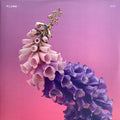 Flume - Skin (2xGREEN PEPPERMINT VINYL) | Mint (M) Mint (M)-Classic Vinyl Record