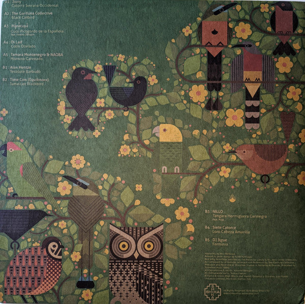 A Guide To The Birdsong Of Mexico, Central America, & The Caribbean | Mint (M) Mint (M)--Classic Vinyl Record