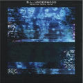 B.L. Underwood - Selected Works 96-97 (VINYL 12") | Mint (M) Mint (M)-Classic Vinyl Record