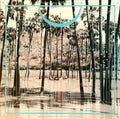 Four Tet - Pink (2xVINYL) |-Classic Vinyl Record