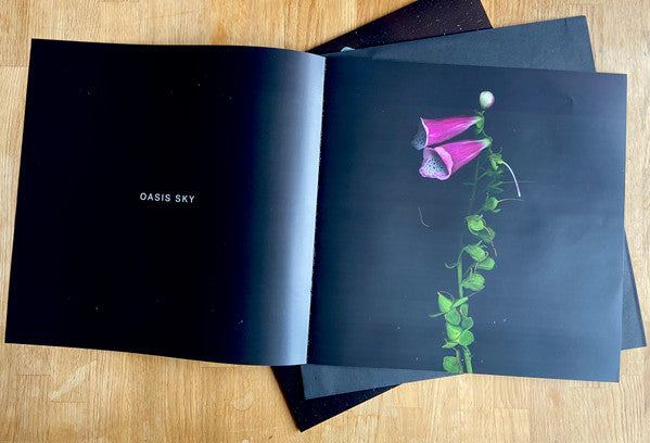 Tor - Oasis Sky (VINYL) | Mint (M) Mint (M)-Classic Vinyl Record