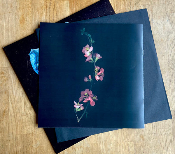 Tor - Oasis Sky (VINYL) | Mint (M) Mint (M)-Classic Vinyl Record