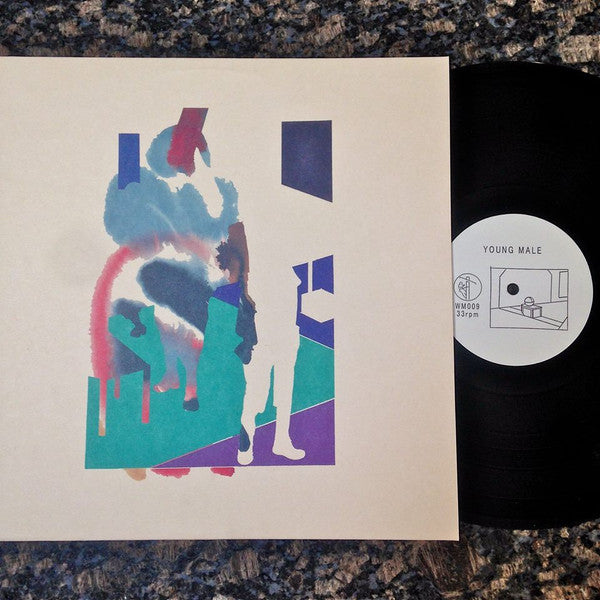 Young Male - How To Disappear In America | Mint (M) Mint (M)-Classic Vinyl Record