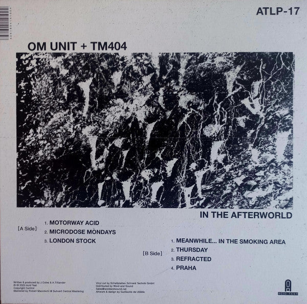 In The Afterworld | Mint (M) Mint (M)-Classic Vinyl Record