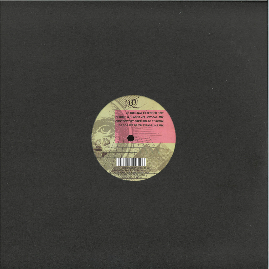 Lennie De Ice - We Are I.E. (VINYL 12" Hooj Choons HOOJ151) | NEW-Classic Vinyl Record