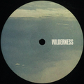 Peeb - Endless Skies EP (VINYL) | Mint (M) Mint (M)-Classic Vinyl Record