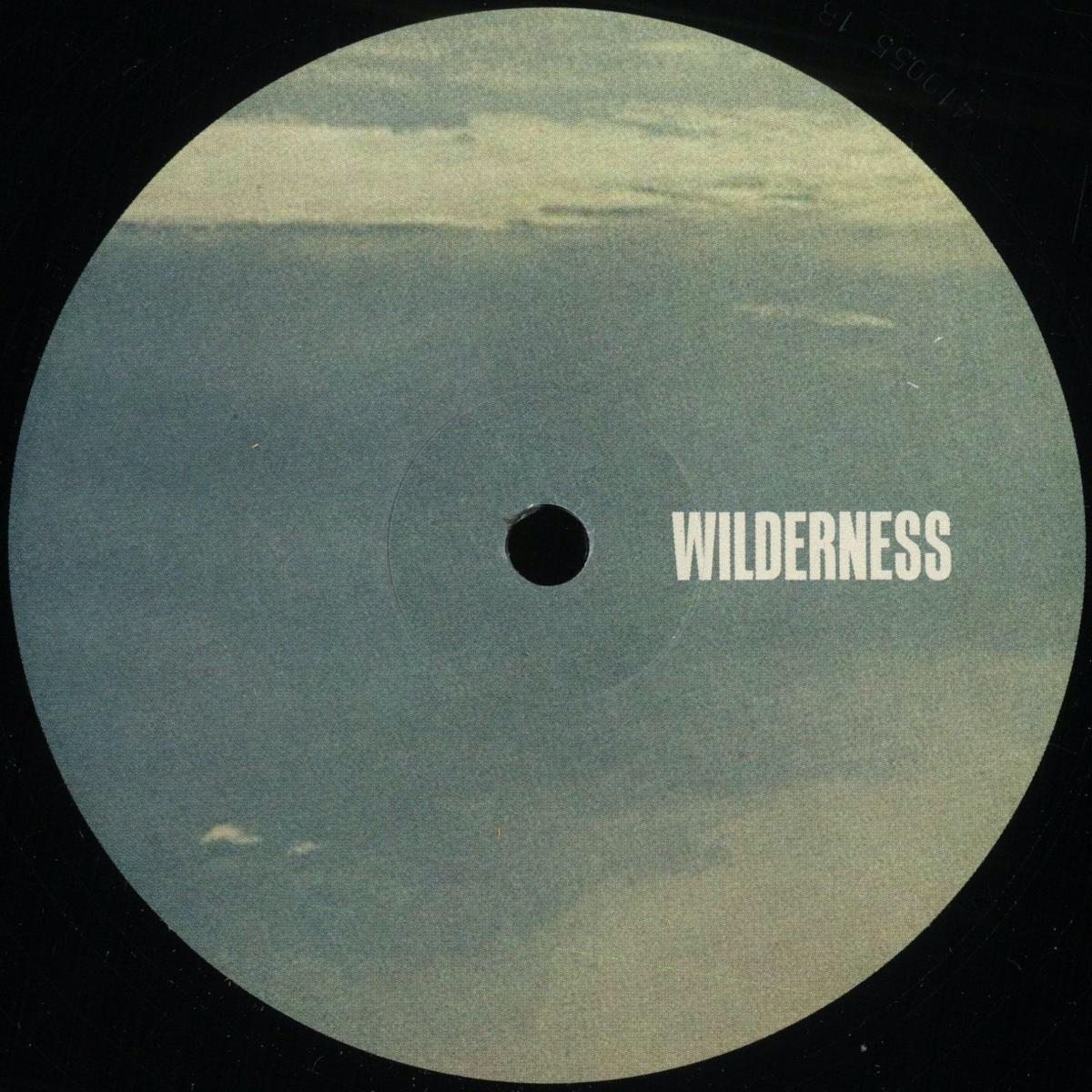Peeb - Endless Skies EP (VINYL) | Mint (M) Mint (M)-Classic Vinyl Record