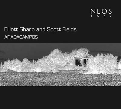 ELLIOTT SHARP & SCOTT FIELDS - Afiadacampos |-Classic Vinyl Record