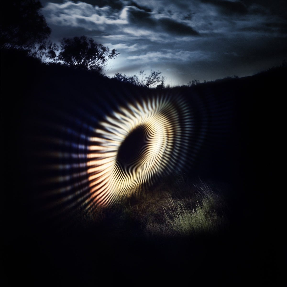 Emptyset - Dissever (VINYL) | Mint (M) Mint (M)-Classic Vinyl Record