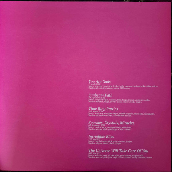 The Universe Will Take Care Of You (WHITE VINYL) | Mint (M) Mint (M)-Classic Vinyl Record