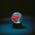 Nothing (VINYL)(PRE-ORDER 2/28/25) | Mint (M) Mint (M)-Classic Vinyl Record