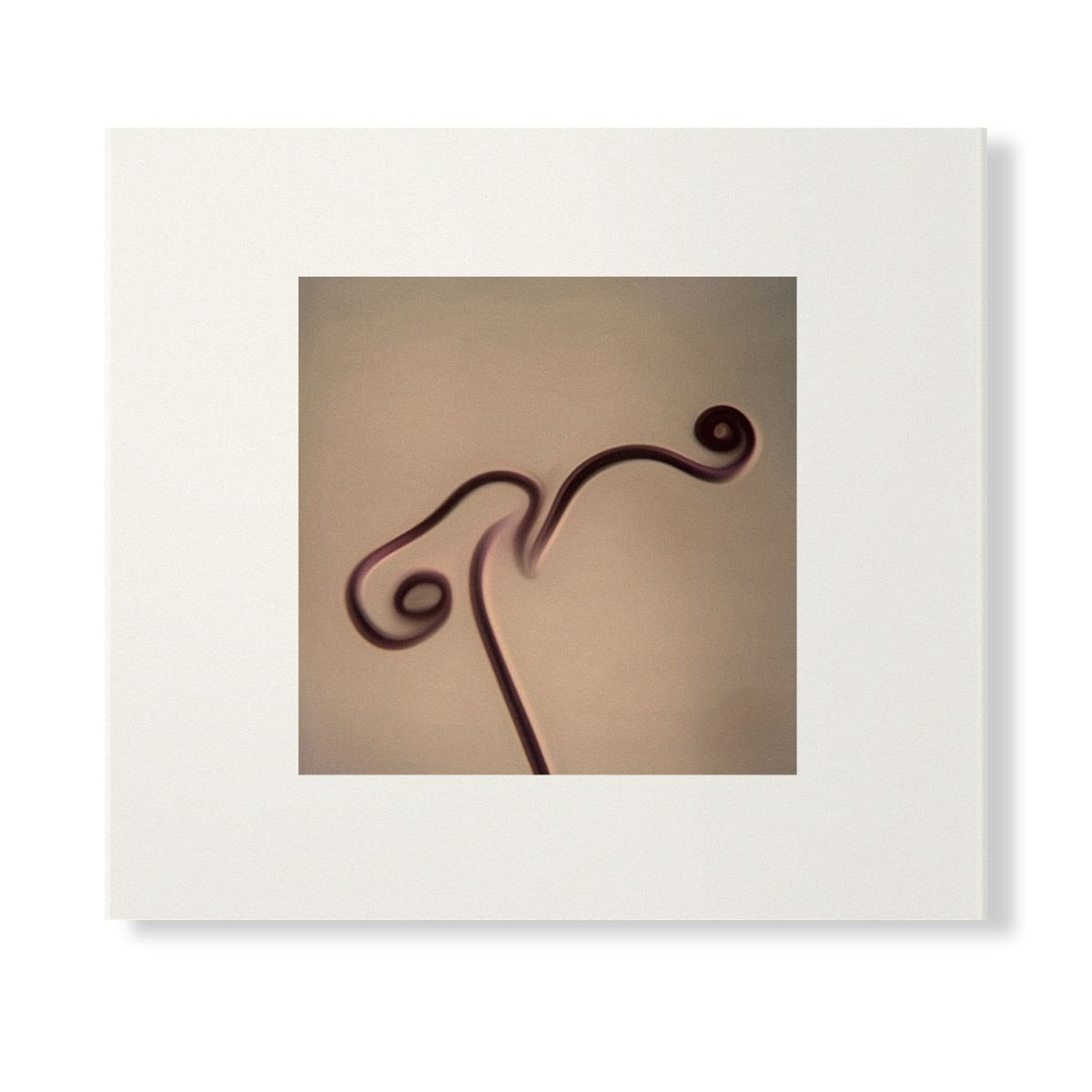 Image 1983-1998 (Skintone Edition)(CD) | Mint (M) Mint (M)-Classic Vinyl Record