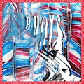 Panda Bear - Buoys | Mint (M) Mint (M)-Classic Vinyl Record