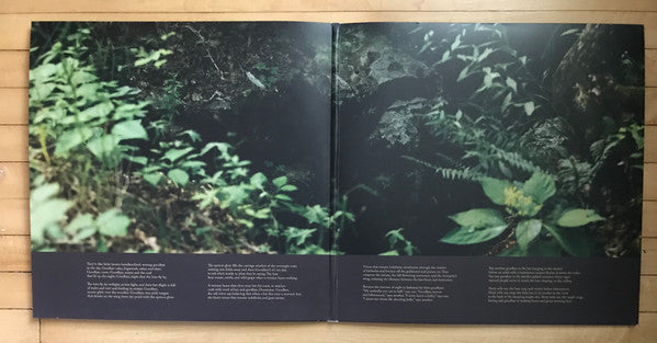 Ultrasonic (2xVINYL) |-Classic Vinyl Record