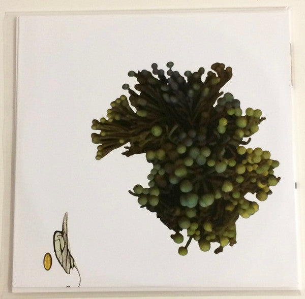 Coil - The Ape Of Naples | Mint (M) Mint (M)-Classic Vinyl Record
