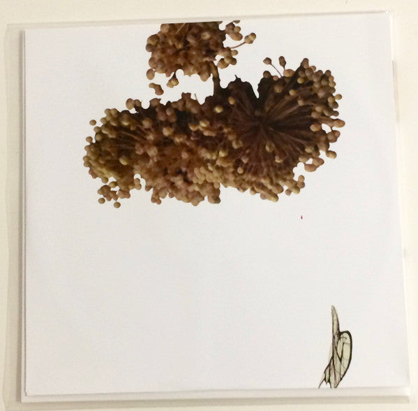 Coil - The Ape Of Naples | Mint (M) Mint (M)-Classic Vinyl Record
