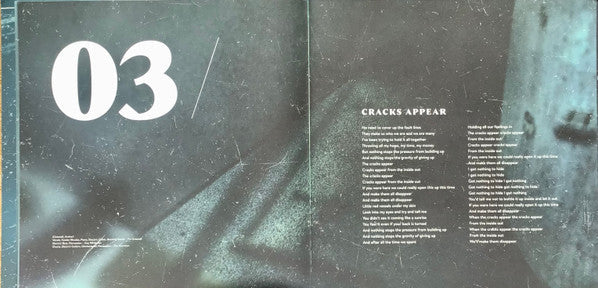 Fink - Resurgam | Mint (M) Mint (M)-Classic Vinyl Record
