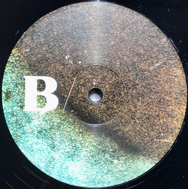 Fink - Resurgam | Mint (M) Mint (M)-Classic Vinyl Record