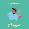 Flamingosis - Bright Moments (VINYL) | Mint (M) Mint (M)-Classic Vinyl Record