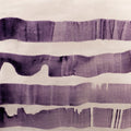 FLOCKS - Flocks |-Classic Vinyl Record