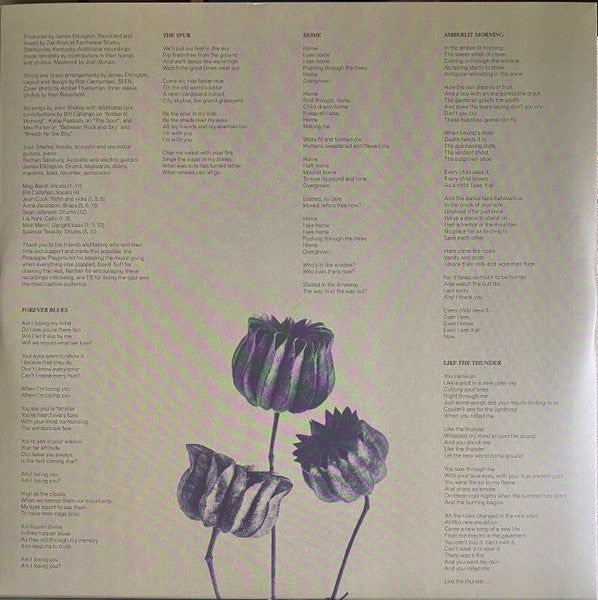 Joan Shelley - The Spur (SILVER VINYL) | Mint (M) Mint (M)-Classic Vinyl Record