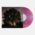 Tyler Ramsey & Carl Broemel - Celestun (Magenta VINYL) |-Classic Vinyl Record