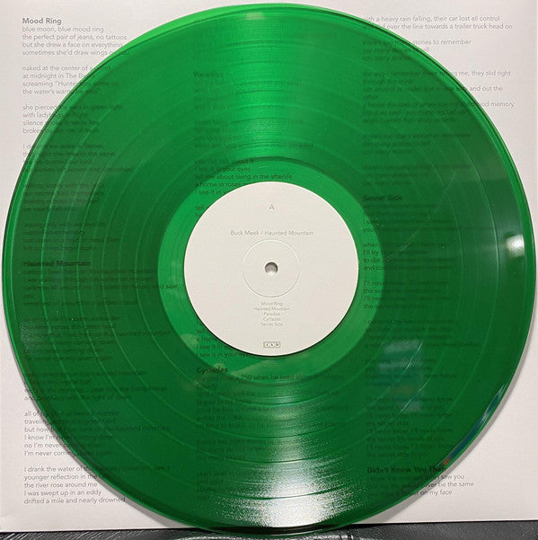 Buck Meek - Haunted Mountain | Mint (M) Mint (M)-Classic Vinyl Record