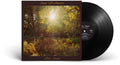 Alex Amen - Sun of Amen (VINYL) | Mint (M) Mint (M)-Classic Vinyl Record