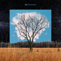 Fink - Bloom Innocent (CD) |-Classic Vinyl Record