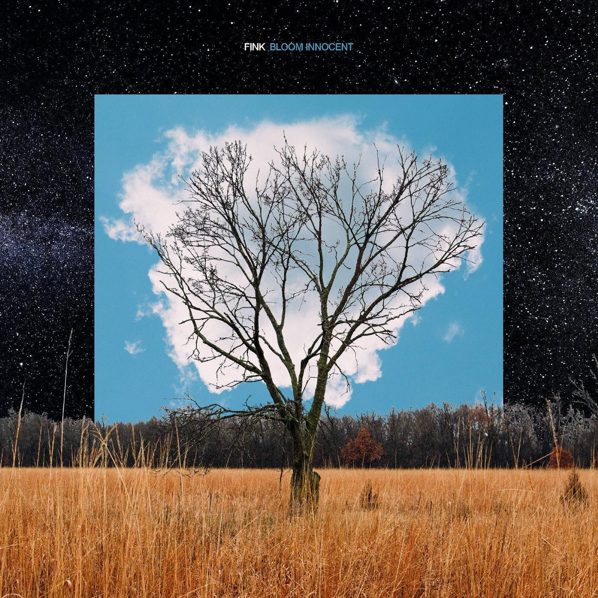 Fink - Bloom Innocent (CD) |-Classic Vinyl Record