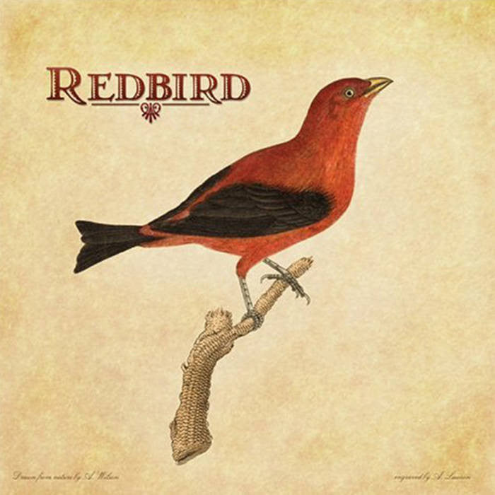 Redbird - Redbird (CD) | Mint (M) Mint (M)-Classic Vinyl Record