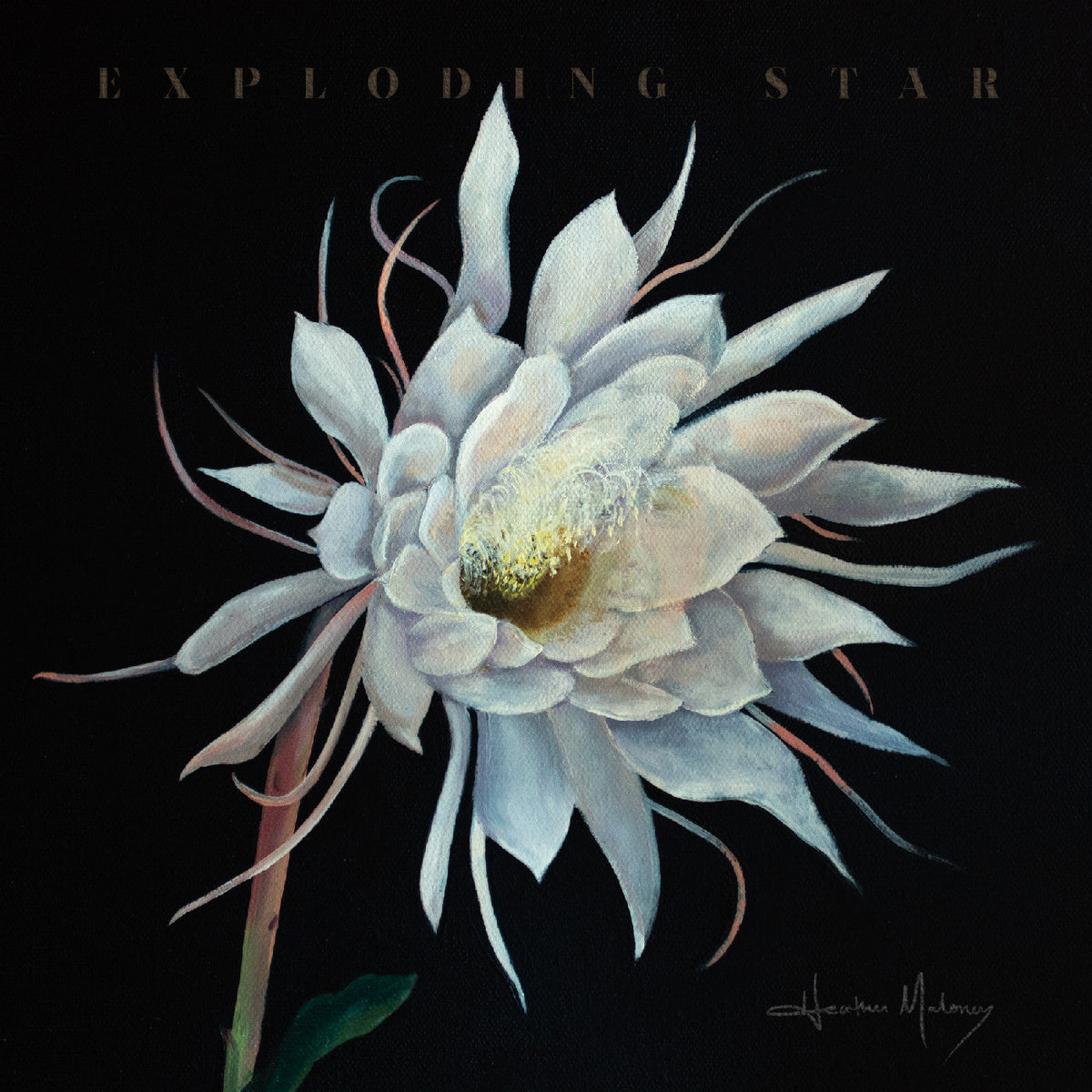 Maloney, Heather - Exploding Star (CD) |-Classic Vinyl Record