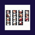 Cradle, The - Laughing In My Sleep (CD) |-Classic Vinyl Record