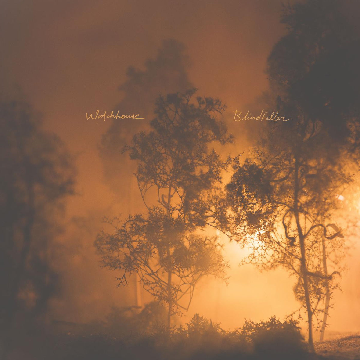 Watchhouse - Blindfaller (CD) |-Classic Vinyl Record