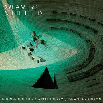 Dreamers In The Field | Mint (M) Mint (M)-Classic Vinyl Record