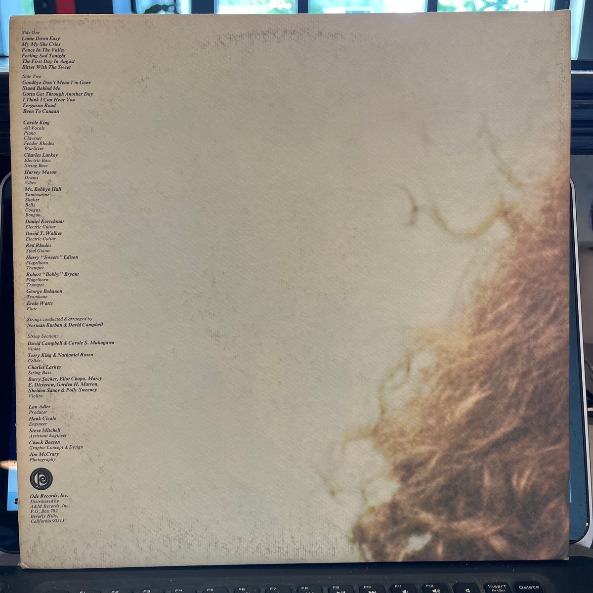 Carole King - Rhymes & Reasons | Near Mint (NM) Near Mint (NM)-Classic Vinyl Record