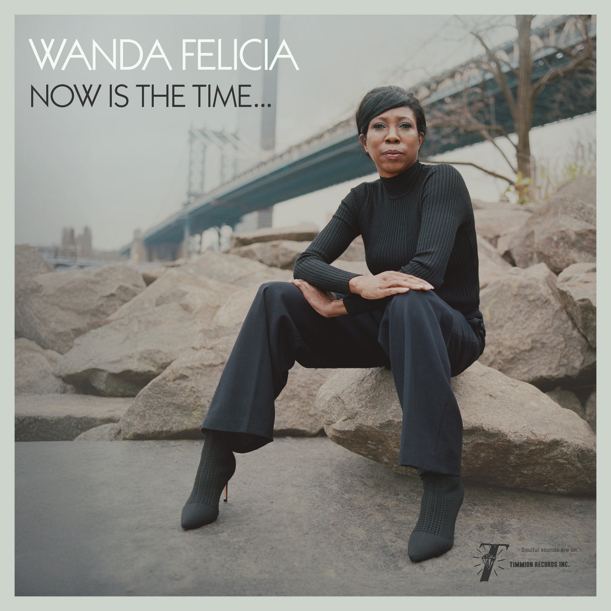 Wanda Felicia & Cold Diamond & Mink - Now Is The Time (Transparent Pink VINYL) | Mint (M) Mint (M)-Classic Vinyl Record